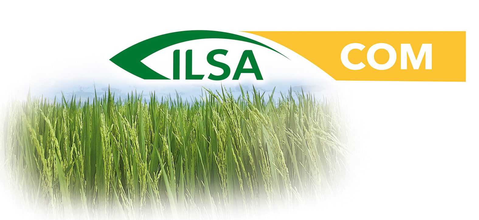 LINEA ILSACOM