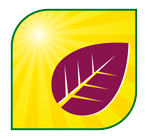 PHOTOSYNTHESIS AND VEGETATIVE DEVELOPMENT