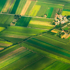 Nutrizione img
