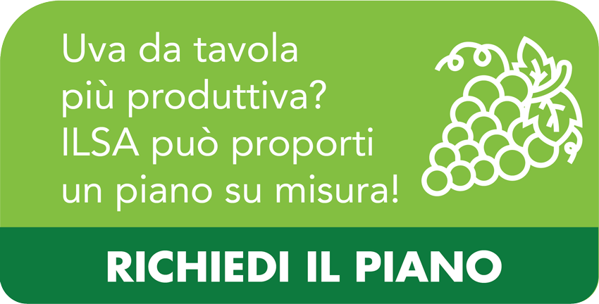 banner_piano_intervento
