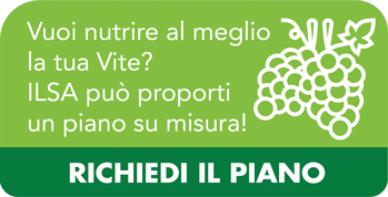 banner_piano_intervento