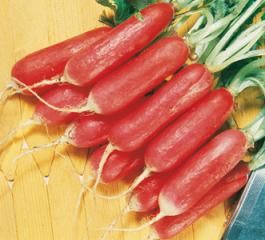 Sperli Semi Di Ravanello French Breakfast 3 82085, Per 12-15 Metri Lineari, Sementi Di Qualità
