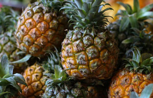 nutritional-plan-pineapple.htm