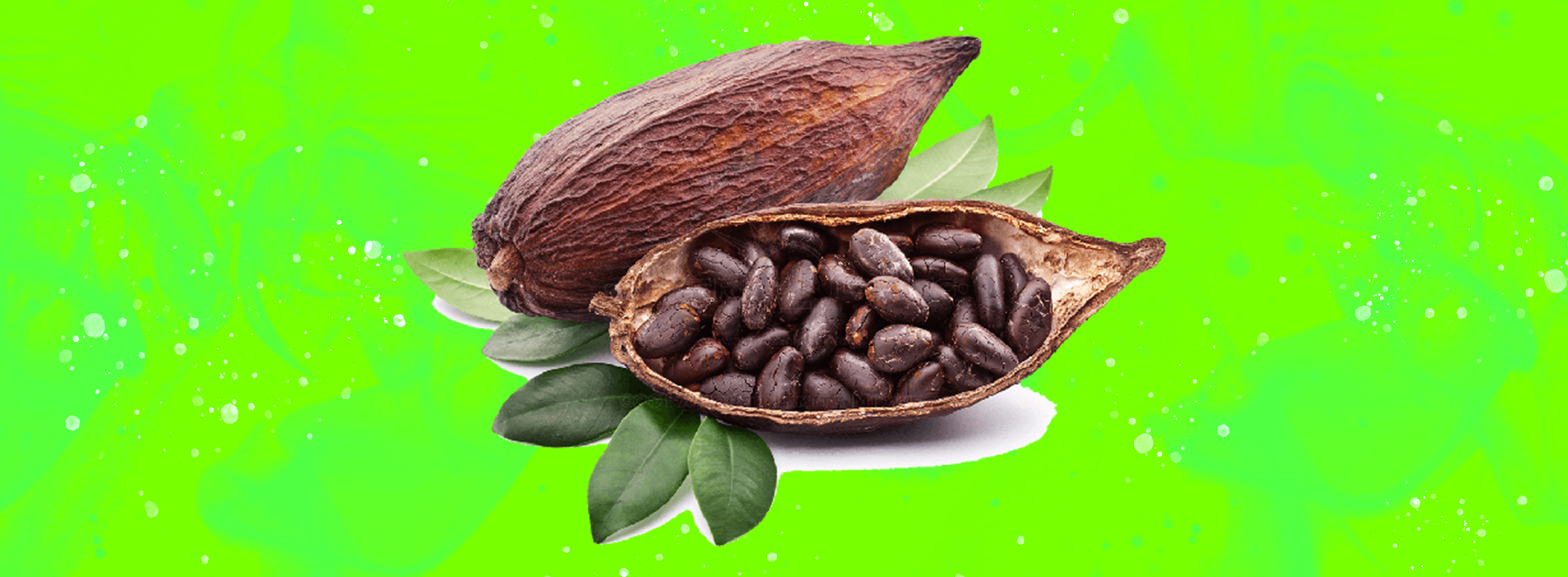 Piano di intervento Cacao